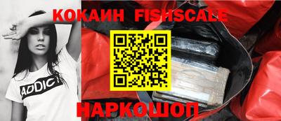 твердый Будённовск